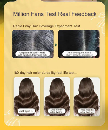 Natural Hair Dye Shampoo - Long Lasting Coverage (Pack of 2)